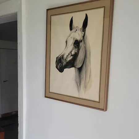 アパート Haus Evelynchen 1 *